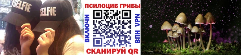 Псилоцибиновые грибы GOLDEN TEACHER  Сим 
